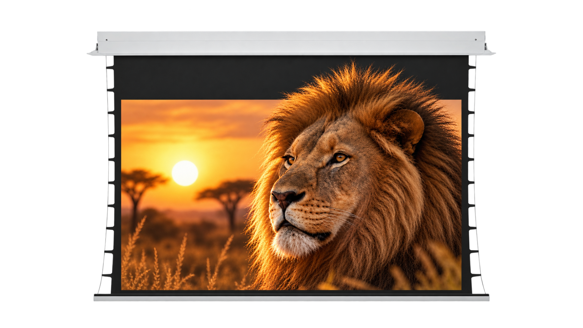 Carson Phantom HDR In-Ceiling Tab-Tension Powered Projection Screen | 16:9